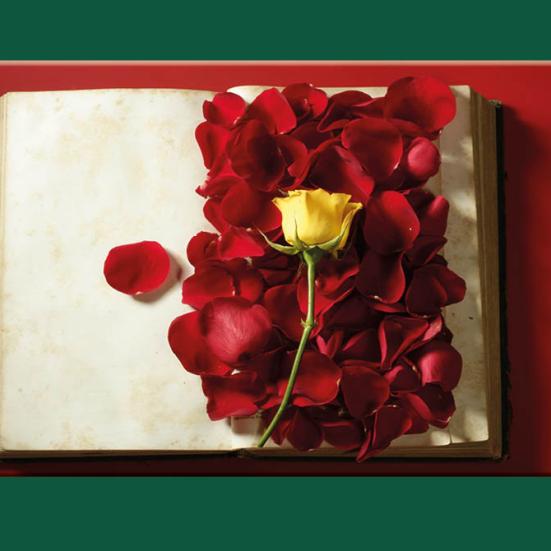 Foto: Colourbox.dk