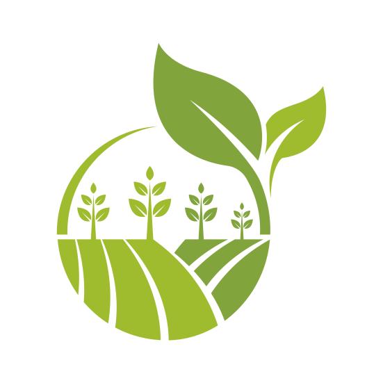 tegnet billedet af grønt korn