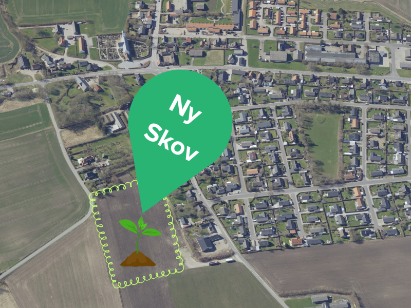 En grøn plet markerer hvor den nye skov plantes ved Voldum