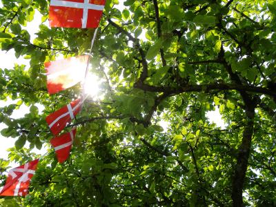 flagguirlande i trækrone