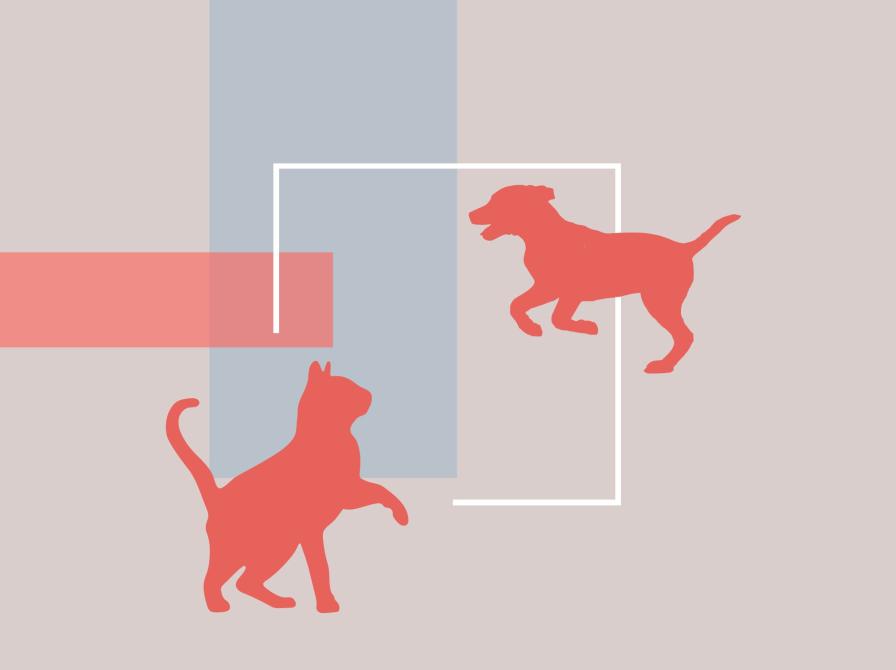 hund og kat